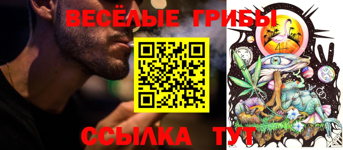 Мариинск  наркотики  Вход с VPN  Галлюциногенные грибы Psilocybe 